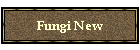 Fungi New